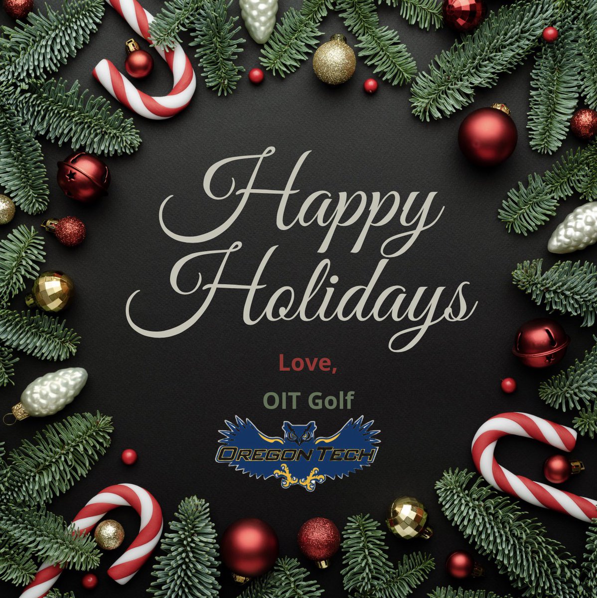 Happy Holidays from our family to yours! May everyone have the best of seasons with those who mean the most to you. Go Owls! 💙🦉💛🎄