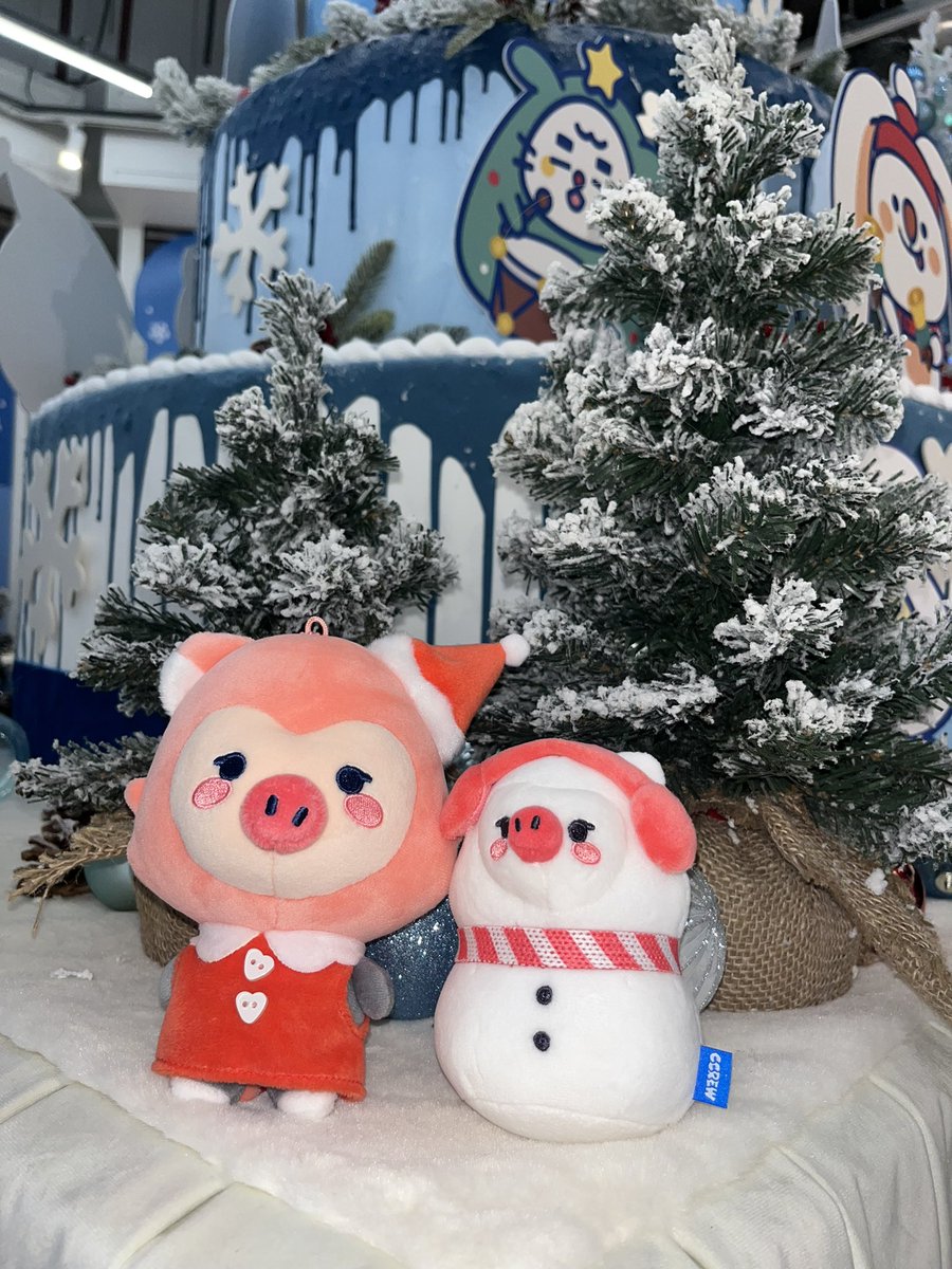 1120fl's tweet photo. 여름의 자외선을 극복하고 드디어 본래의 피부를 되찾은 울피!!
팝업 입구부터 사랑스러움MAX..🥹
아빠 유전자로 인해 겨울이 퍼컬인 제철 울피 실물을 볼 수 있어서 행복해요🐷
위드뮤 덕분에 울피와 복작복작 함께하는 겨울나기🌨️🤍

#WINTER_CCREW 
#윈터크크루_팝업스토어 
#윈터크크루_겨울이왔다 https://t.co/EfMkhwDlHH