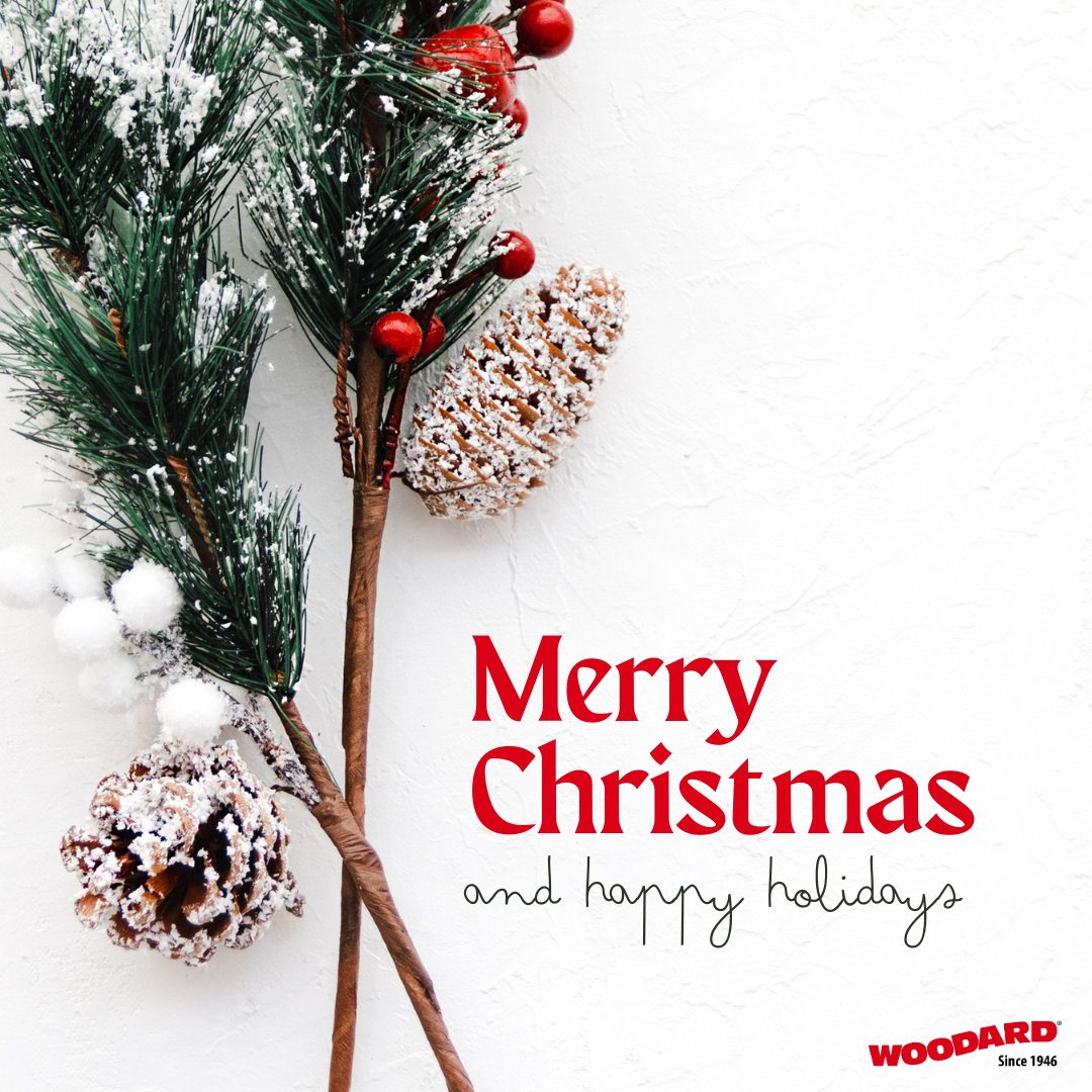 Merry Christmas! Sending love and laughter this holiday season. 🎄 #merrychristmas #happyholidays #merryandbright #stlbusiness