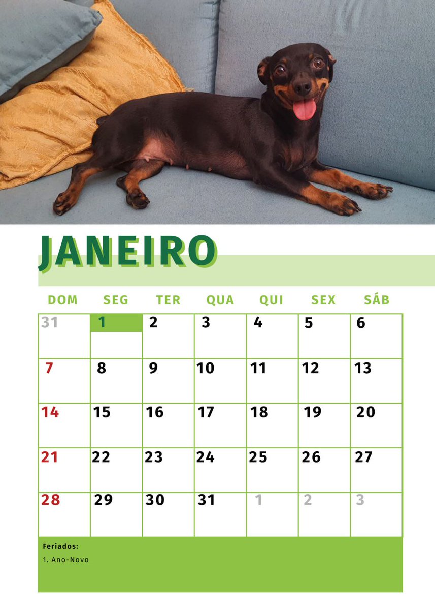 danifranck's tweet photo. Fiz um calendario de presente de natal pro meu pai com fotos da cachorrinha favorita dele e ele chorou qnd viu ❤️🥺 https://t.co/A9o7zwfiNf