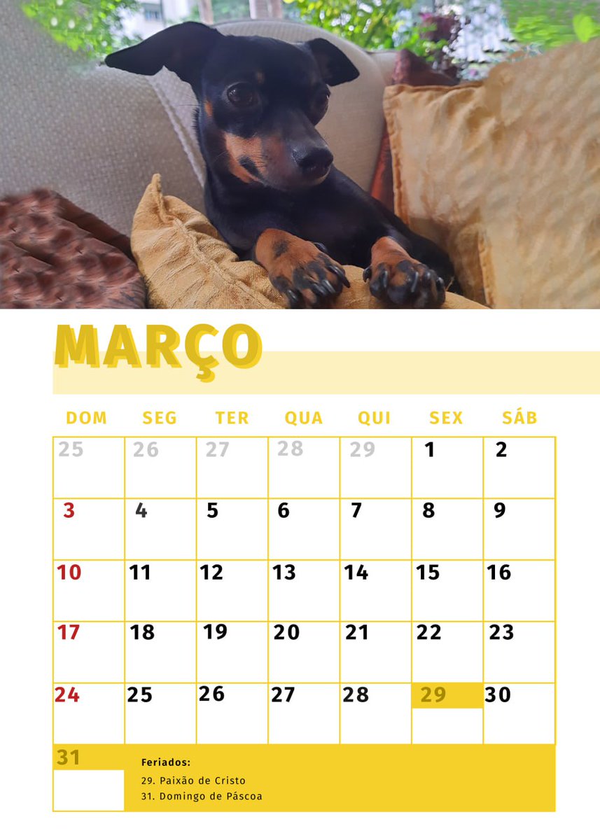 danifranck's tweet photo. Fiz um calendario de presente de natal pro meu pai com fotos da cachorrinha favorita dele e ele chorou qnd viu ❤️🥺 https://t.co/A9o7zwfiNf