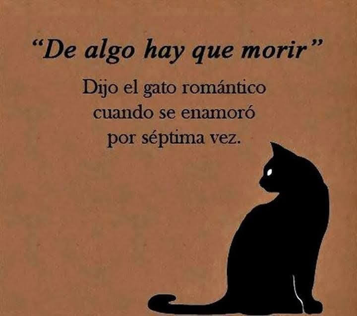 iloliviaa's tweet photo. De... https://t.co/WBc5BGAiY0
