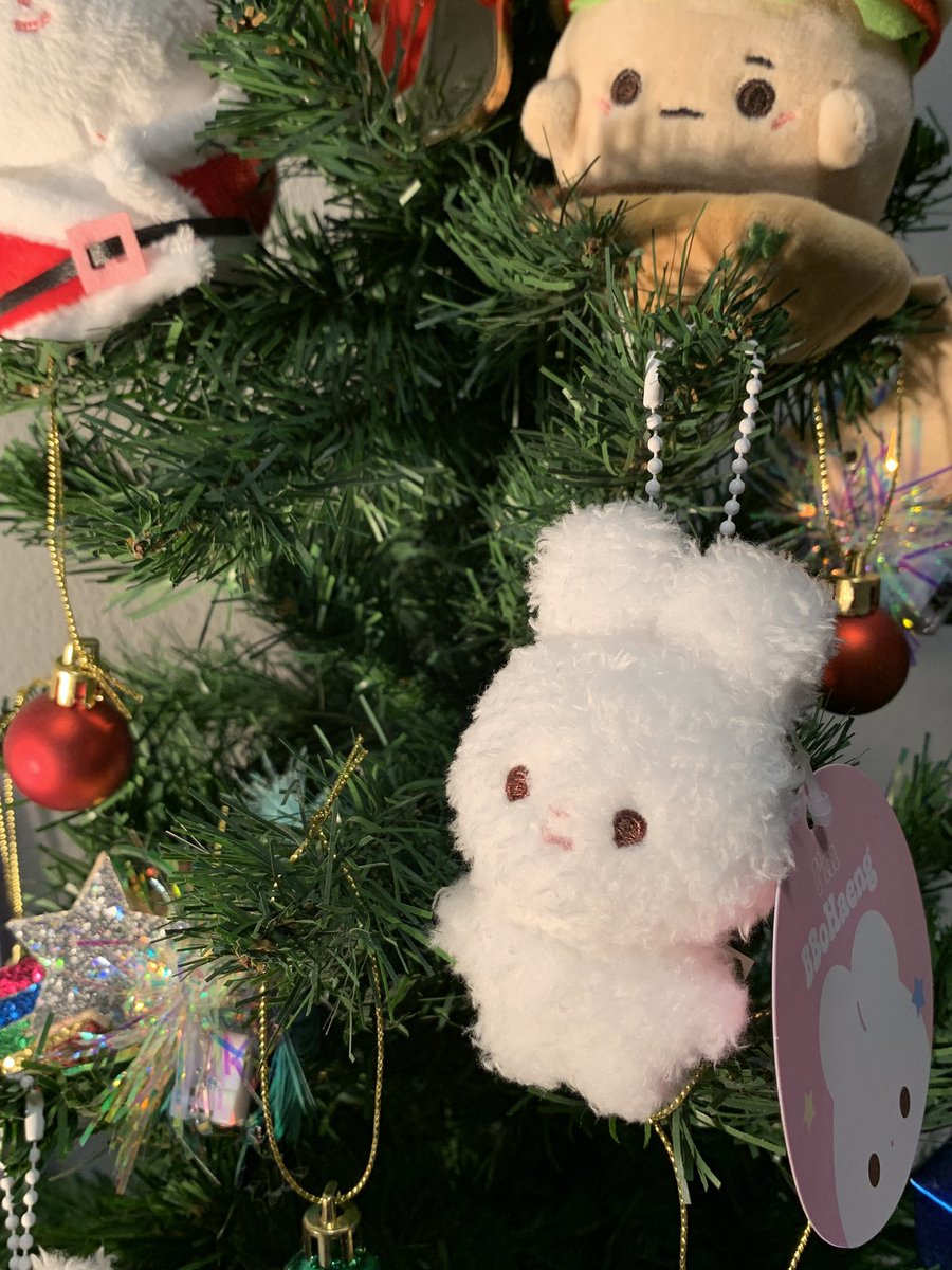 크리스마스 맞이 우리집도 찾아온 귀여운 뽀무랑 뽀행이 ♡´･ᴗ･`♡