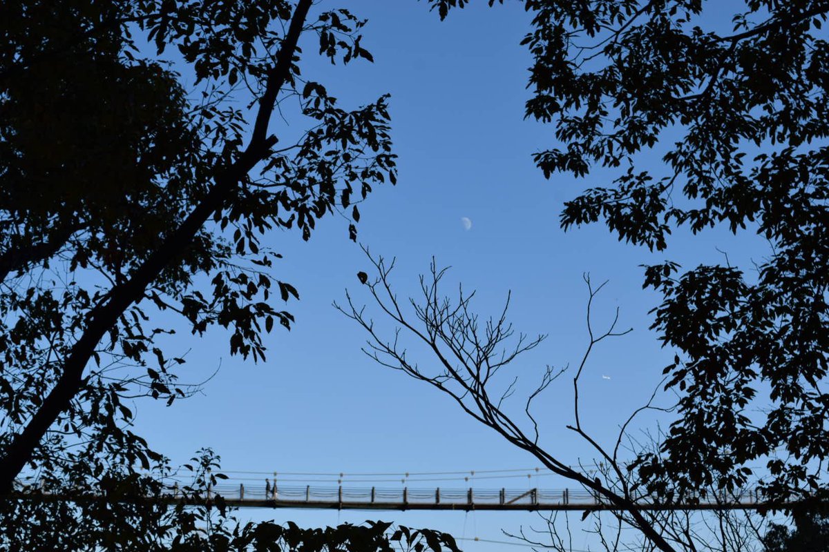 薄暮に月。クリボッチも終わった。。ﾜﾗ