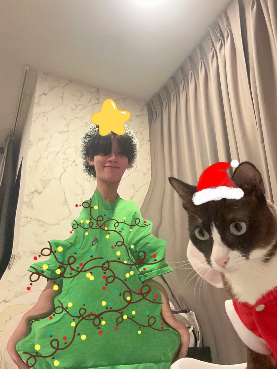 mintnk_'s tweet photo. Merry Christmas ค้าบ🤍🌲 https://t.co/BPca3155Xd