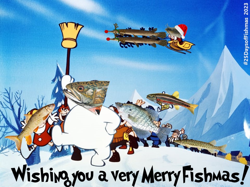 Katie O'Reilly (@drkatfish) on Twitter photo Wherever #Fishmas Day finds you, I hope you have the opportunity to relax and enjoy the world around us. Thanks to everyone for a wonderful 7th year of #25DaysofFishmas - here's to more fishy fun throughout the whole year! Wherever #Fishmas Day finds you, I hope you have the opportunity to relax and enjoy the world around us. Thanks to everyone for a wonderful 7th year of #25DaysofFishmas - here's to more fishy fun throughout the whole year!