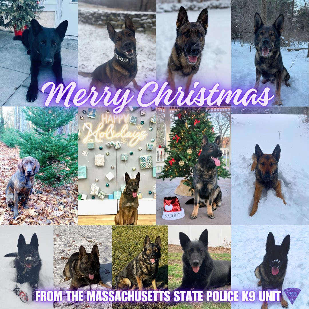 #mspk9