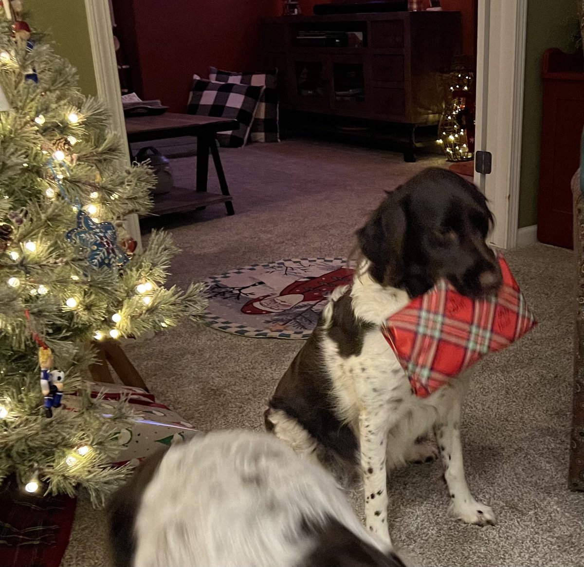 Ruby handing out gifts. Santa’s little helper.
