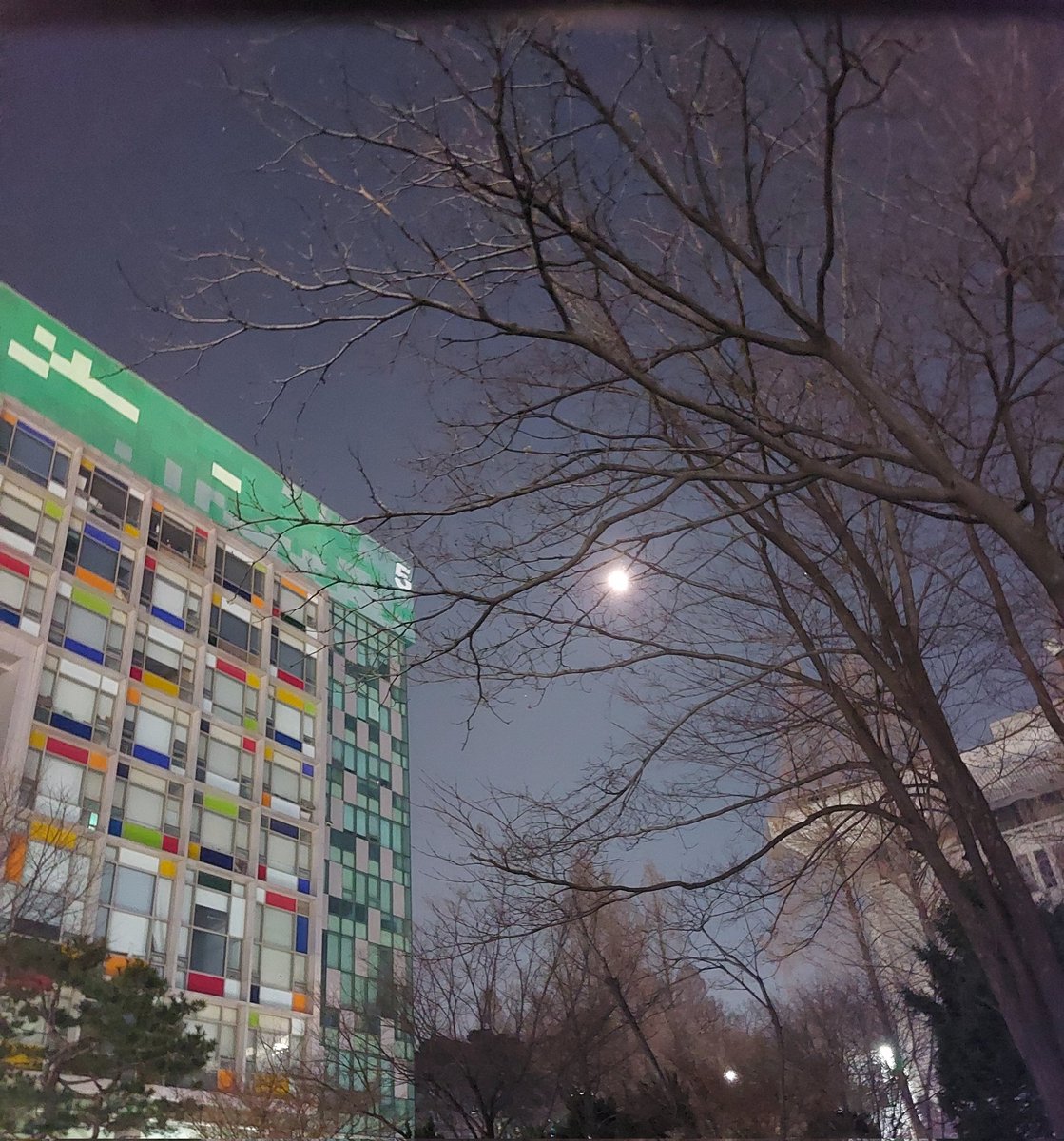 #조이랜드 #joyland #파키스탄 #사임사디크 #saimsadiq 영화의 문제 의식과 별개로 인물들이 선해서 오랜만에 영화 속 사람들 보며 치유되는 시간이었다....