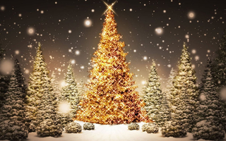 MMoltoallegro's tweet photo. @PsychicPsurgery Merry Christmas, Lucas, be well. https://t.co/QKOdq1awHJ