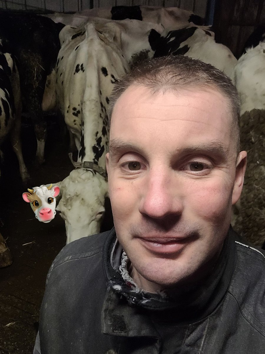 Entre 2 repas, retour au travail pour digérer la 🦃 😁. Joyeux Noël 🎅 🎅 à tous. 🎄🎄.