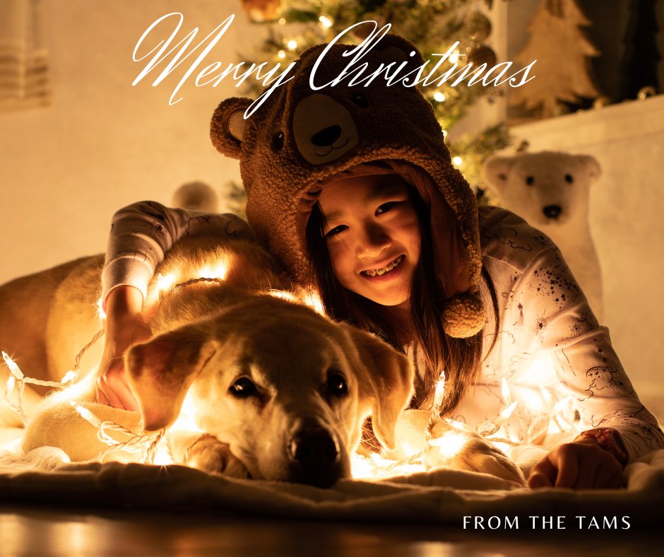 Alex_Tam22's tweet photo. Merry Christmas everyone! From the Tam's Family to yours!! https://t.co/1baiQlRgFt