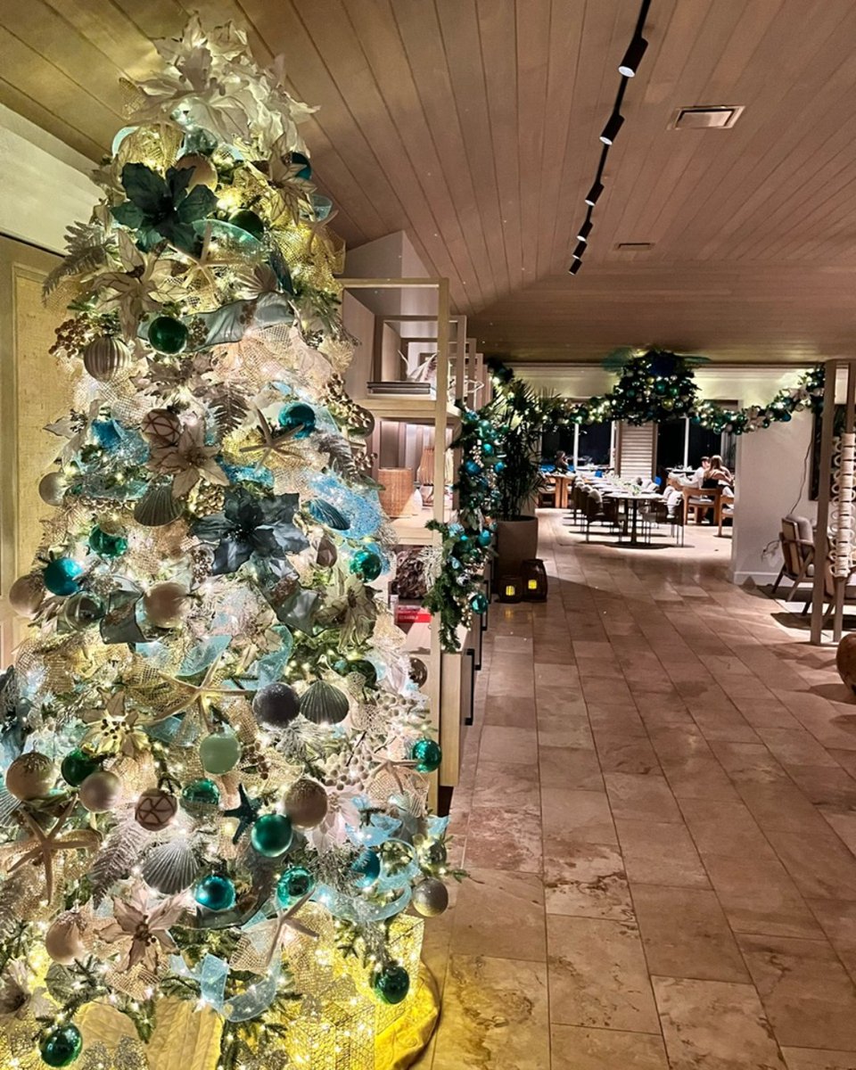 The holiday season is the perfect time to reflect on our blessings and seek out ways to make life better for those around us.” -Terri Marshall

Merry Christmas from The Cove team!