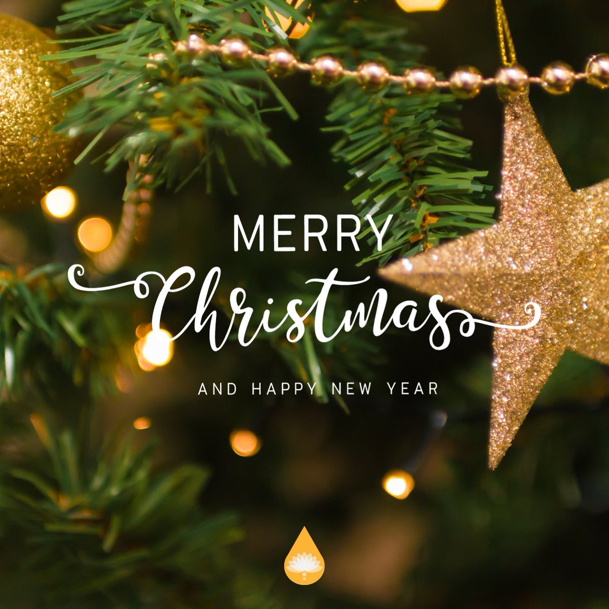 SubtleAromatics's tweet photo. Wishing you all a wonderful Christmas! 💫 🎄

#Christmas2023 #aromatherapist #EssentialOils https://t.co/lDTq43T79d