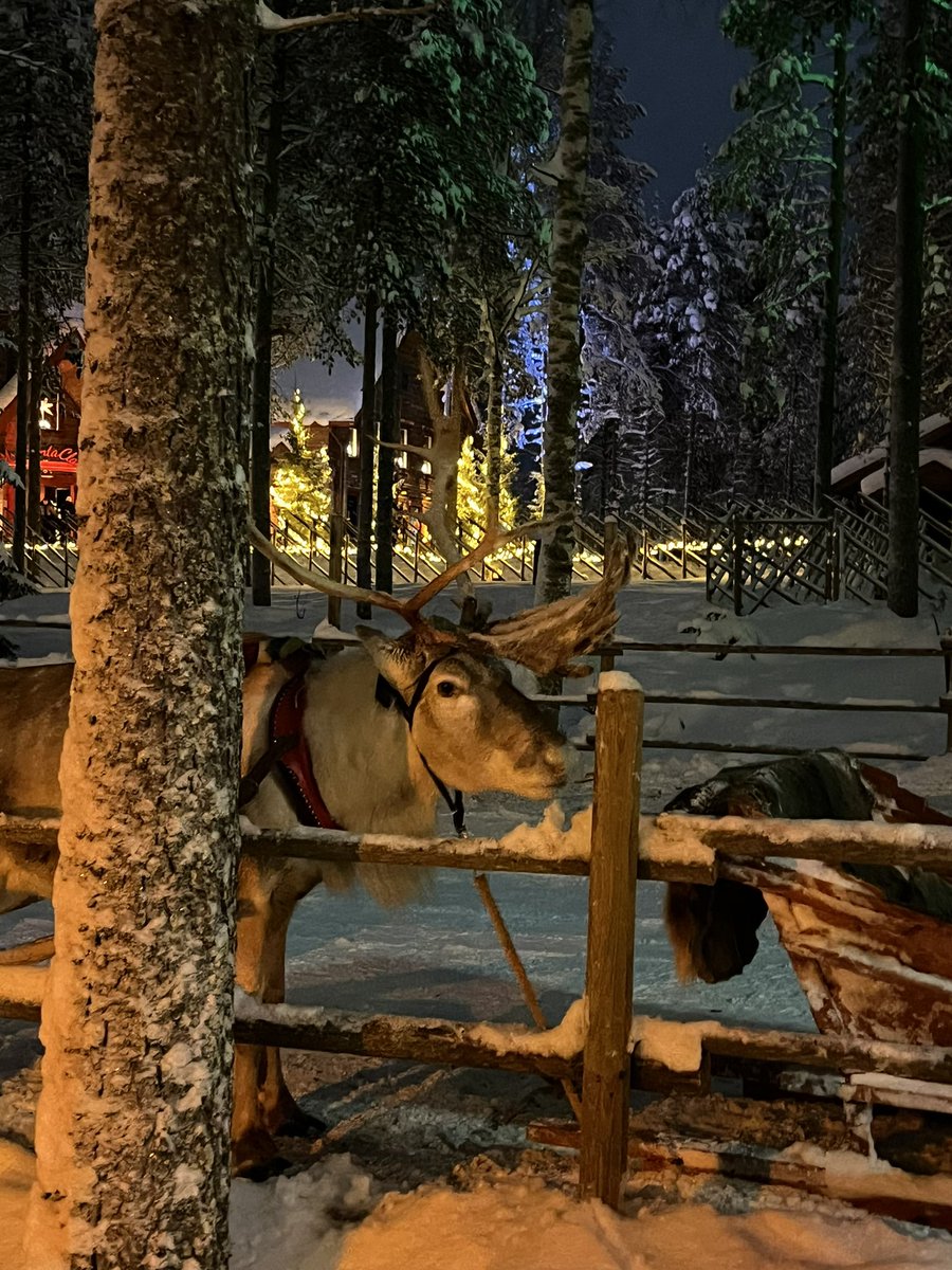 Joulupukin Pajakylässä täys tohina päällä. @VisitRovaniemi @OurLapland #Christmas2023