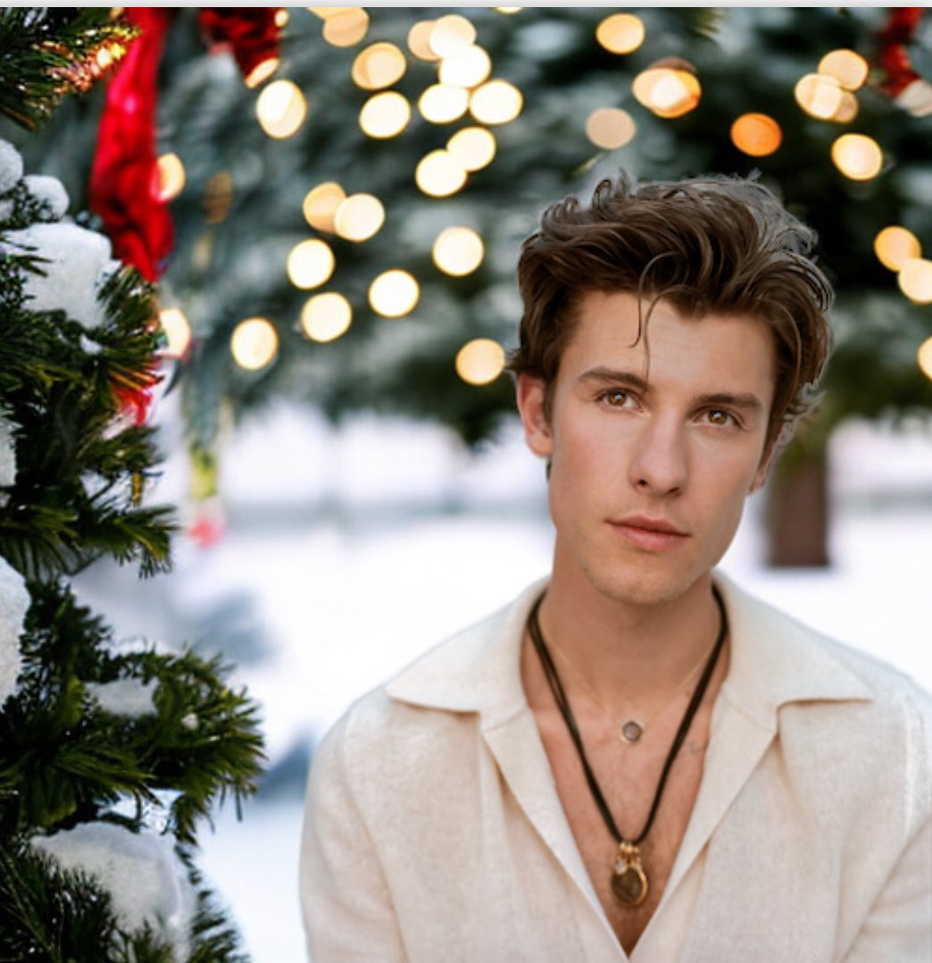 shawnmondes_'s tweet image. Have a happy merry Christmas Day 🤩🎁 #MendesArmy #multifandoms