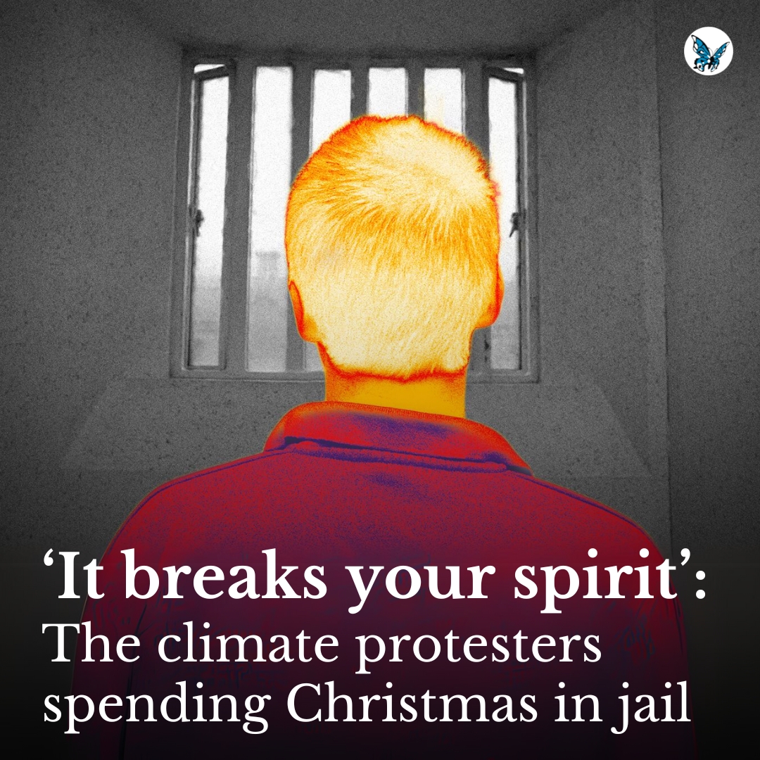 🔴 This year, according to Just Stop Oil, two activists will be in prison over Christmas 👇 opendemocracy.net/en/just-stop-o…