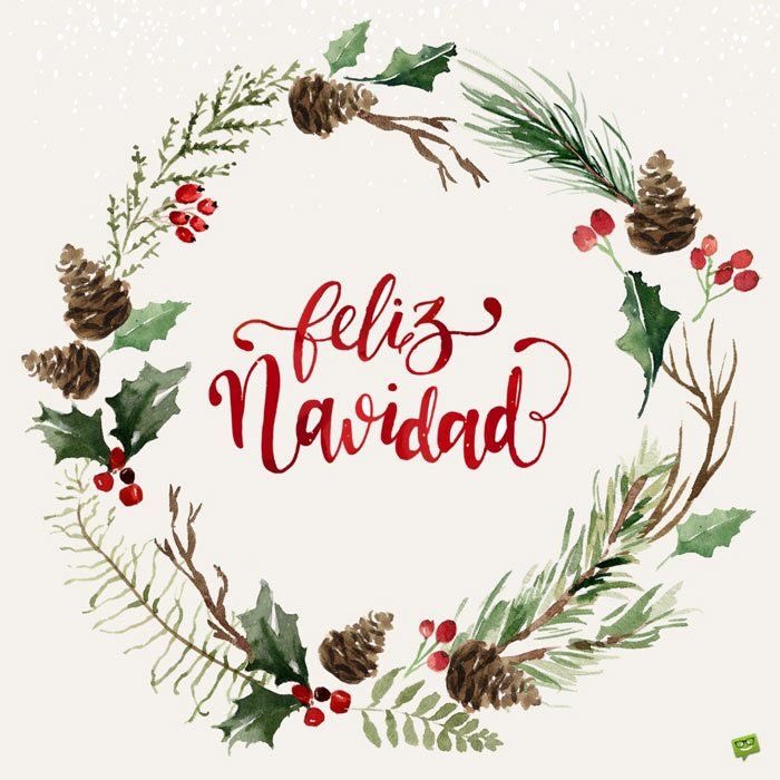 DeAcuicola's tweet photo. 🪅🎄El Comité de Sanidad Acuícola del Estado de Zacatecas les desea felices fiestas a todos ustedes. 🎄🪅 https://t.co/I213JvLy6k