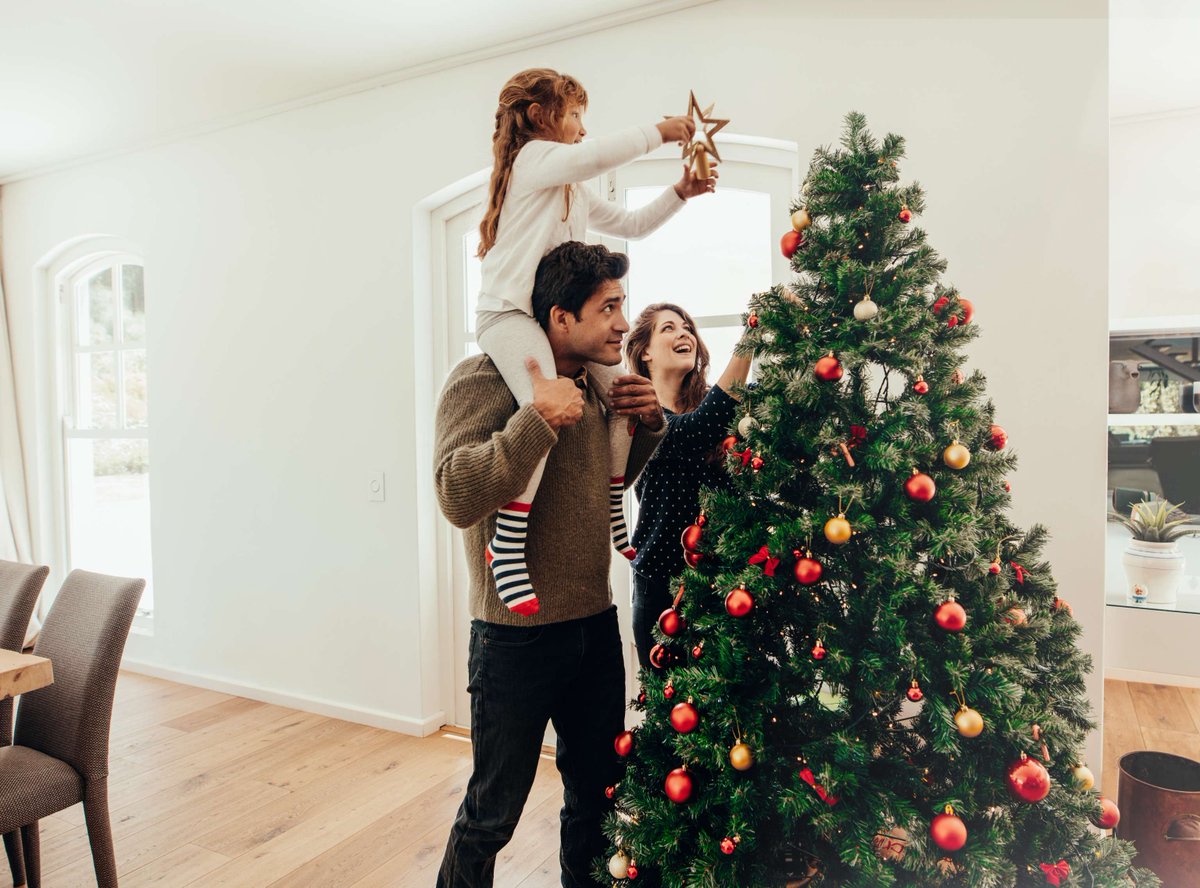 Merry Christmas from Saela Pest Control! 🎄✨ May your homes be filled with joy, laughter, and the peace of a pest-free holiday. Cheers to a festive celebration and a bug-free New Year! 🌟 

#SaelaPestControl #PestFreeHolidays