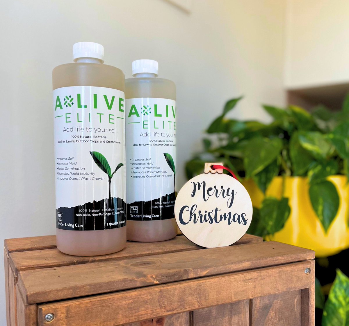 AliveBiotech's tweet photo. May your holidays be merry and bright this year, and your plants be happy and thriving! 🎄✨ https://t.co/RD6WoSxuwT