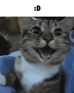 GGEnjoyer's tweet image. 🎅LIVE🎅

MERRY CHRISTMAS! DEGEN SESSION, GOING AND JUICING TF UP THEN BLACKJACK ON ROOOOO. COME A SIT BACK! NWEORWQE WENFNANEFN MEOOOOWWW

kick.com/gge

🔁1,000 🔶 GIVEAWAY SPLIT BETWEEN 5 RANDOM RT ON STREAM