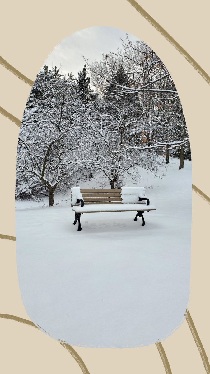 blue_wave17's tweet image. #Christmas2020 &amp;amp; #Christmas2023 
#Toronto 
#Monday 
#holidayseason 
#holidays 
#Christmas 
#christmas #christmastree 
 #merrychristmas #christmastime #love #winter #christmasgifts #santa #christmasiscoming #holidays  #santaclaus #december #gifts #family #photography #snow