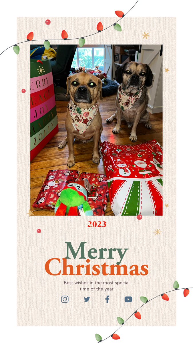 DanceAndDogs's tweet image. Merry Christmas! The puggle brothers wish you a great holiday season and new year! #thepuggleisreal #puggle #pugglelove #pugglelife #pugglebrothers