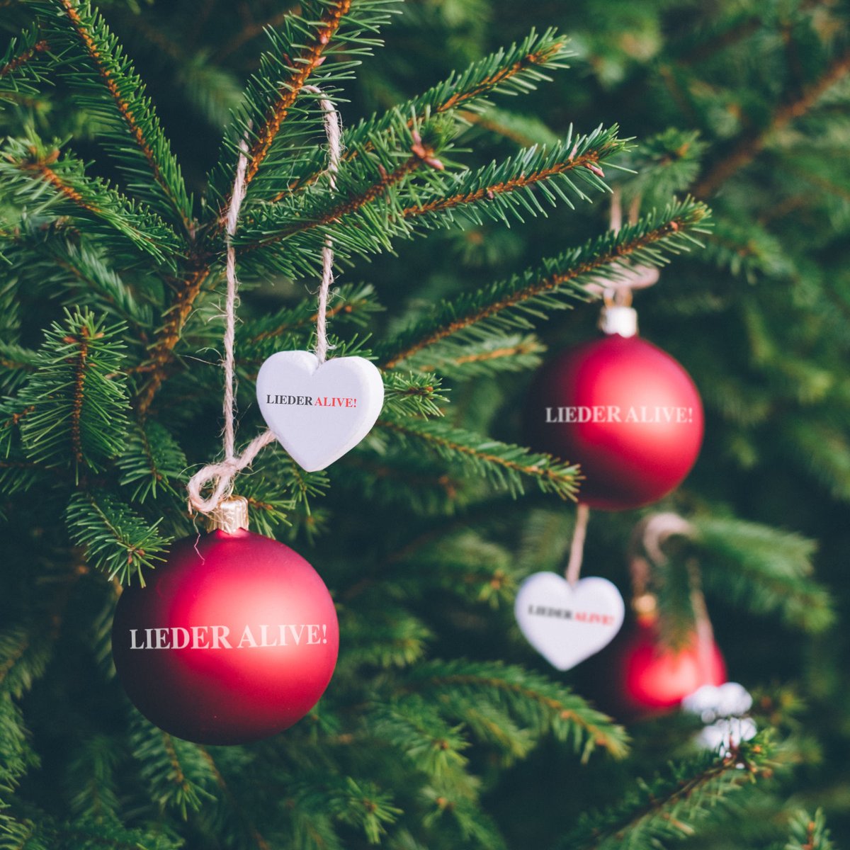 LIEDER ALIVE! tweet media