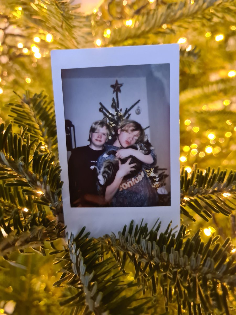 FREEK VERMAAS tweet media