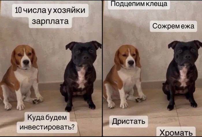 hehe nehehe tweet media