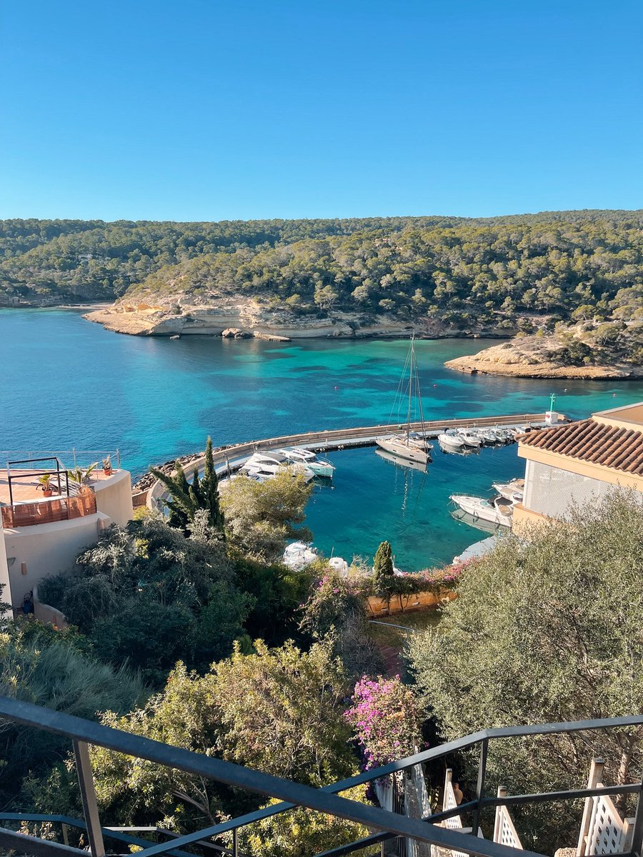 laugonz9's tweet photo. Christmas in Mallorca https://t.co/0CKAQuCJS5