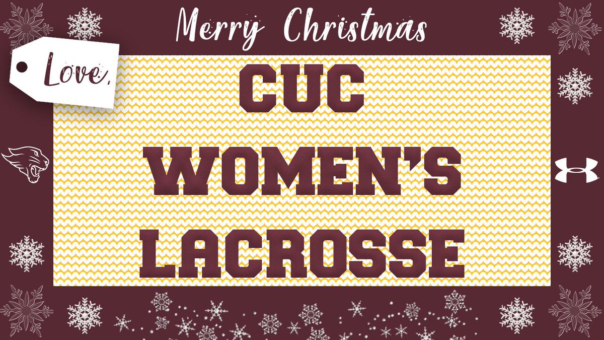 Concordia Chicago WLax tweet media
