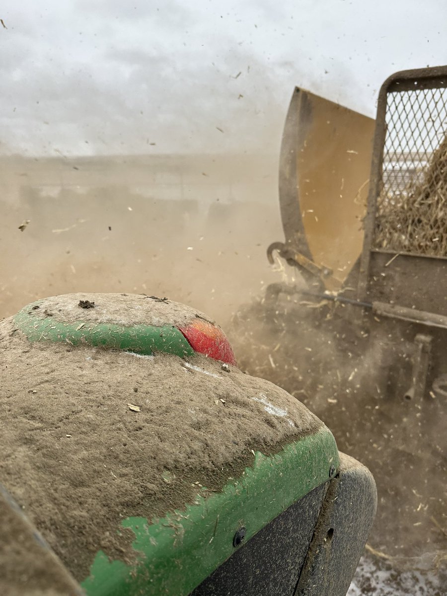 Take care of the babies and they’ll take care of you…. Or something like that. Merry Christmas!