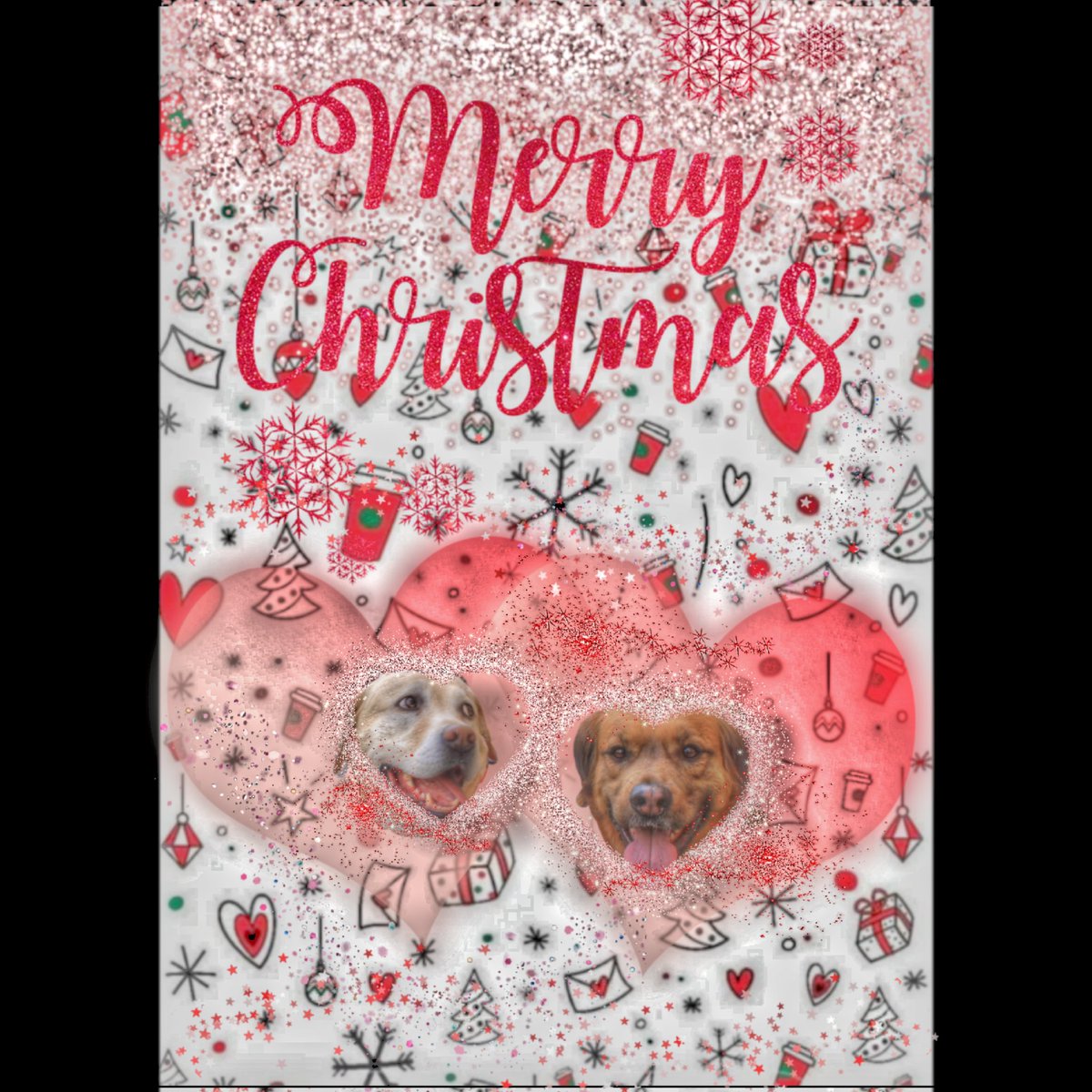 der_pippo's tweet photo. Ich habe hier einige unbearbeitete DM und Notifications, weil ich hier so selten bin. Ich bearbeite die im Laufe der nächsten Tage.
Möchte euch frohe Weihnachten wünschen 💝 https://t.co/H1szcubscc