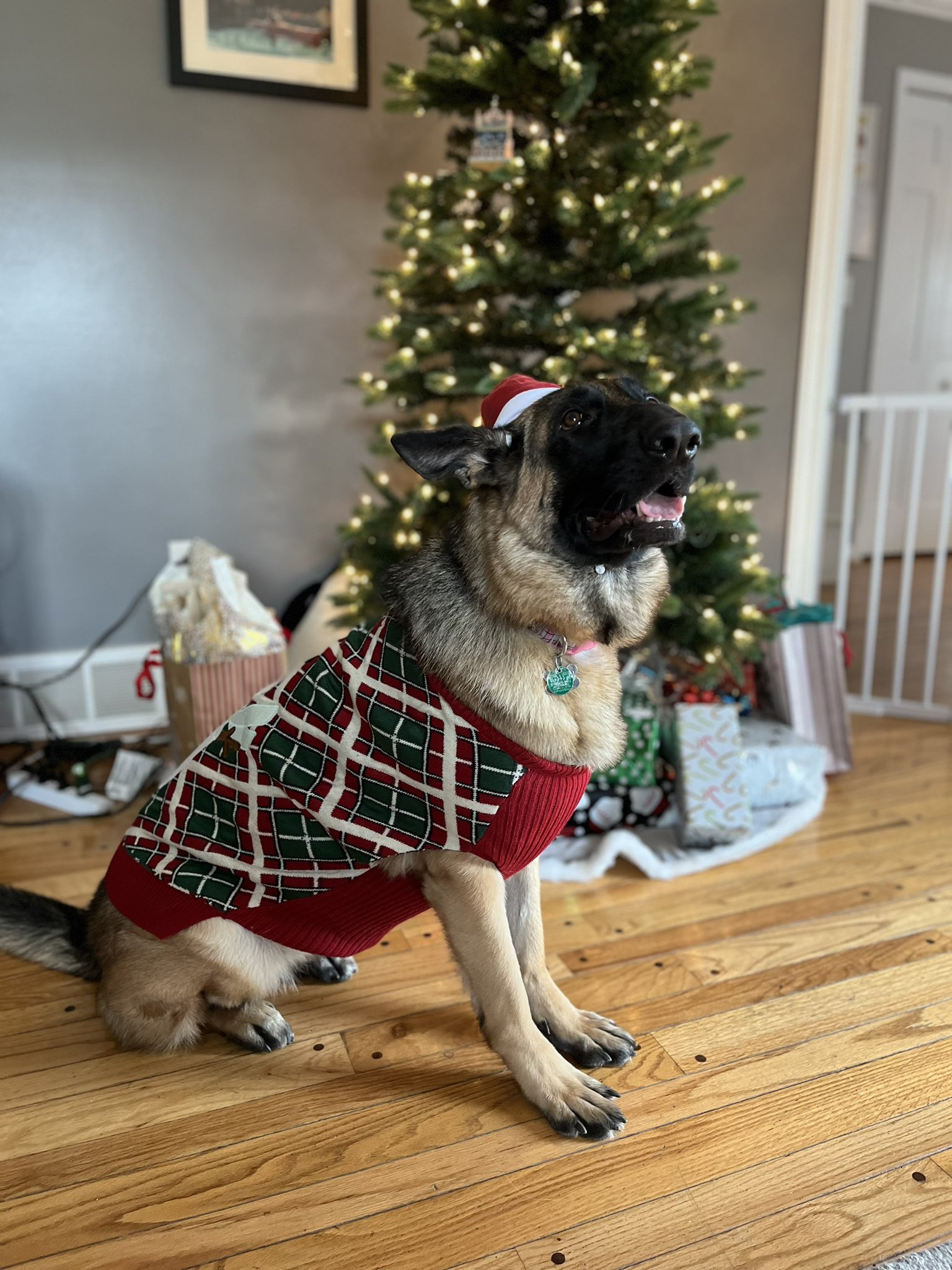 German shepherd christmas jumper discount