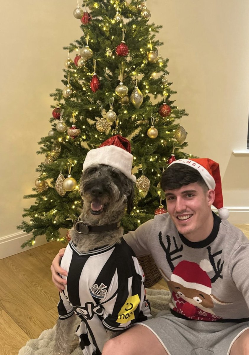 Newcastle United tweet media