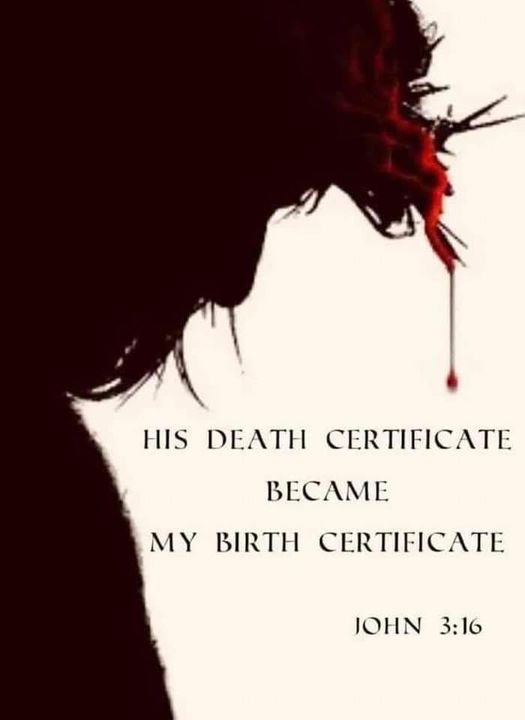 ReformedDoc's tweet image. 