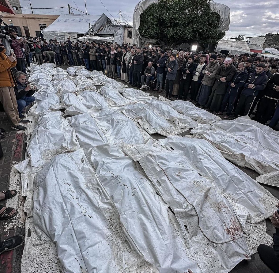 Gaza mornings. Gaza mournings. Israel taking advantage of so many distracted by Christmas capitalism to carry out its worst atrocities. These are the gifts that Palestinians wrap in their land. Dead bodies. Last night was one of the worst. 

Don’t stop fighting this genocide