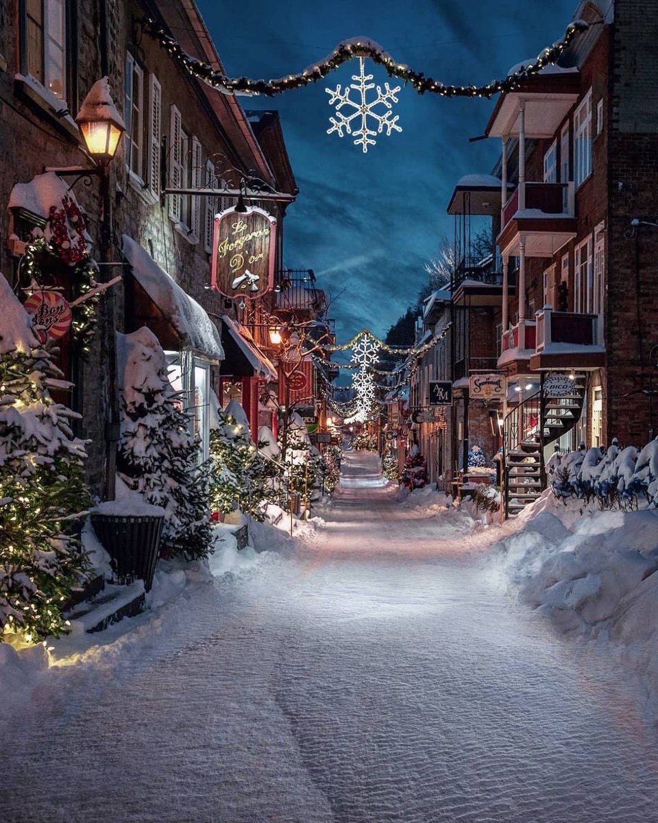 We decided to stay in Quebec for Christmas this year rather than heading back to Nova Scotia

I miss my family and holiday shenanigans

Luckily they’re all headed to visit us in our new home in a few weeks

I think they’ll feel right at home…

My hometown 👇      My new home 👇