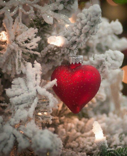 Alice Boutilier tweet media