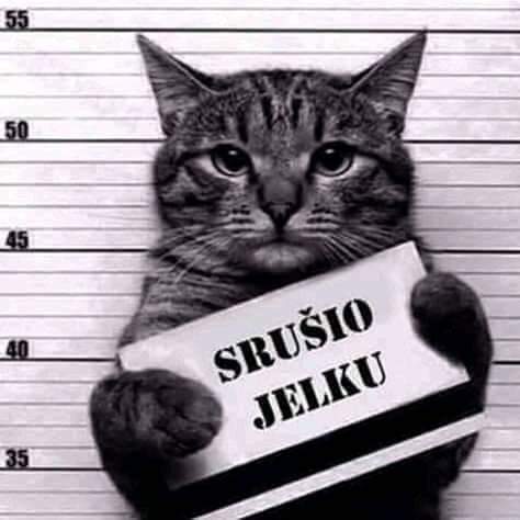 GCNe4o2XcAAve_q?format=jpg&name=small