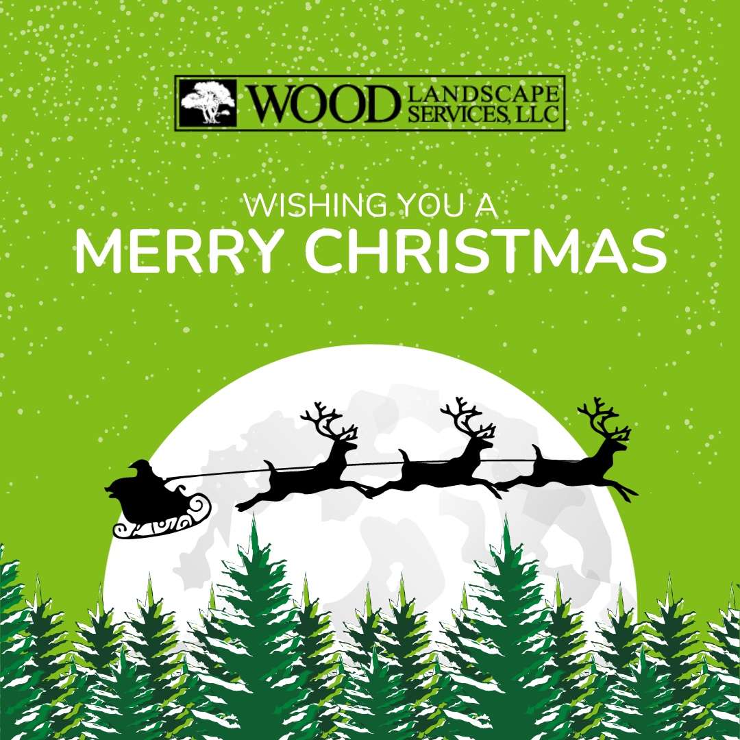 Wishing everyone a Merry Christmas from Wood Landscape Services! 📸🎄 It's been an incredible year, and we can't thank our wonderful clients enough for all of their support. 

Here's to making 2024 even brighter! 🥂 
.
.
.
#WoodLandscapeServices #Christmas2020 #HappyHolidays