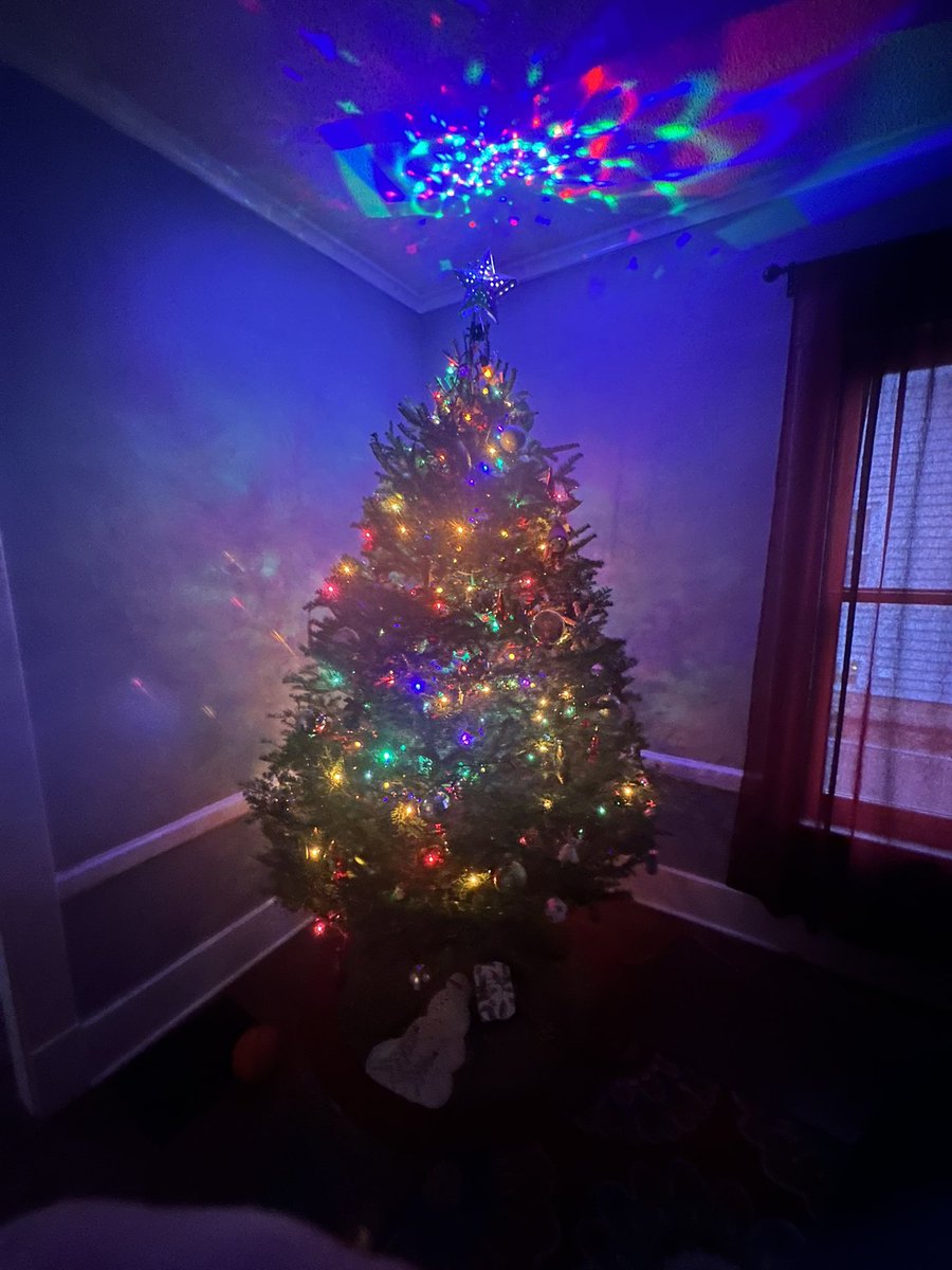 TrusteePark's tweet photo. Merry Christmas! 

Here’s a little article! Real trees are better for the environment! 🌍 

https://t.co/wMbCzSL8JU https://t.co/88ezinI9Mr