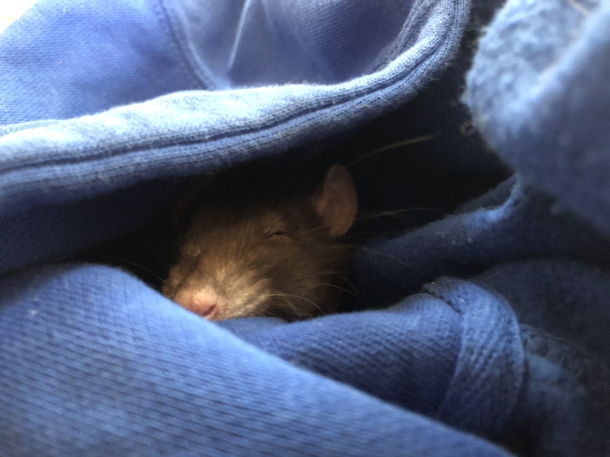 Merry Christmas and Happy Holidays to all of my frens 🎄

My goal for next year is to reengage with my favorite community.  I’ve kept in touch with a few of my closest friends but have had to pivot and focus on what’s right in front of me.  My last 6 weeks has been spent taking