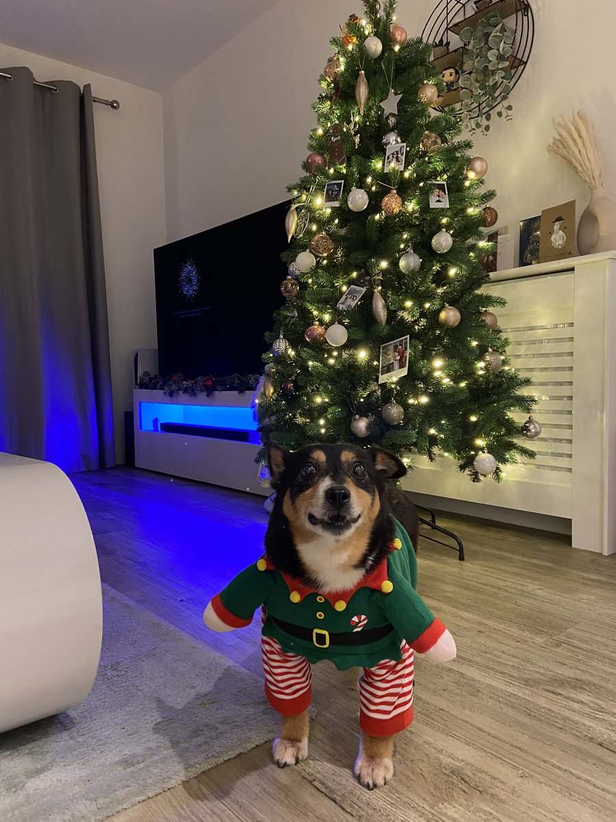Merry Christmas from Santa’s best Elf 🎄✨❤️