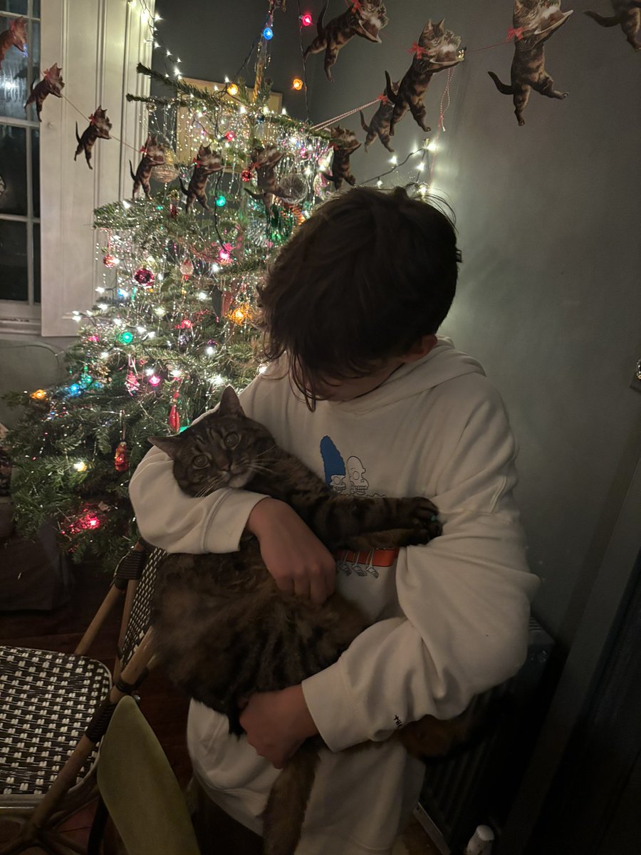 Mae Muller tweet media