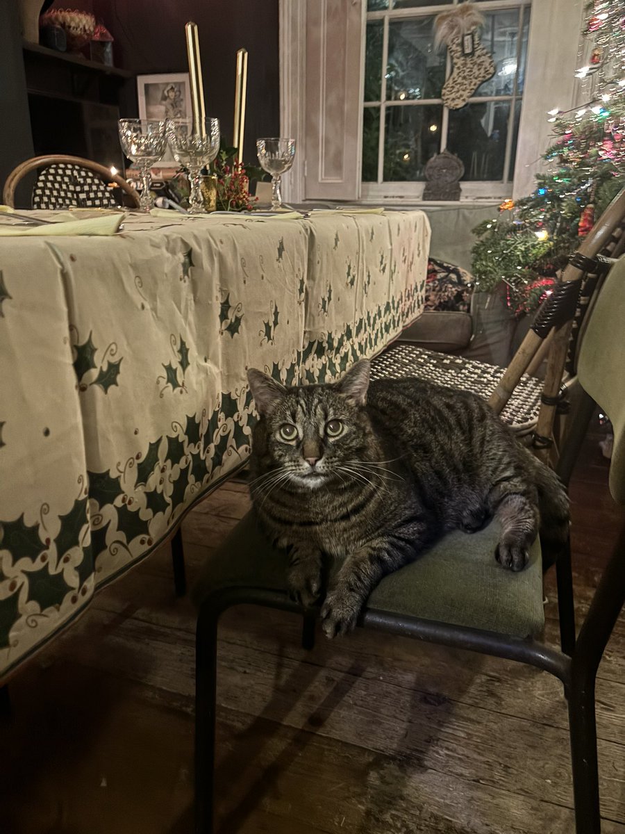 Mae Muller tweet media