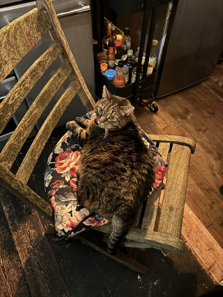 Mae Muller tweet media