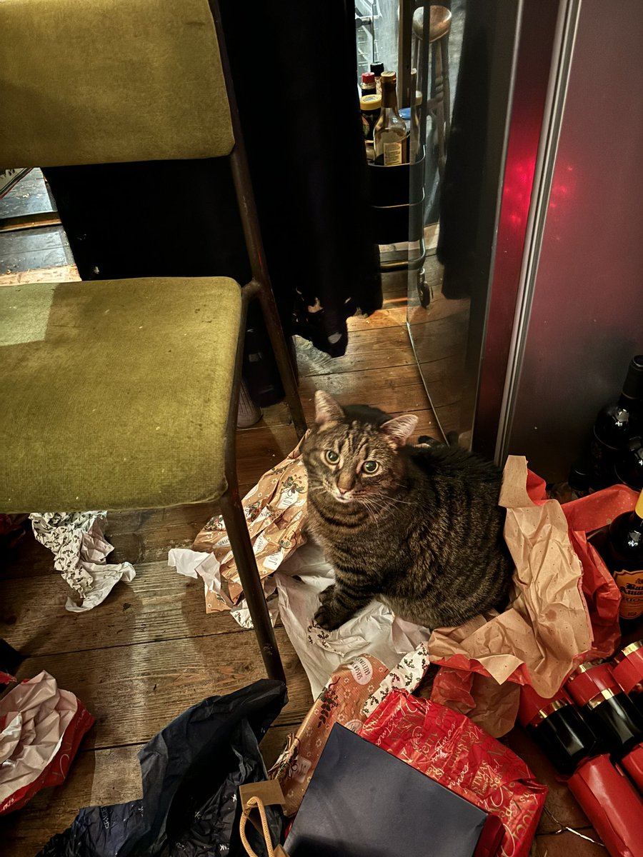 Mae Muller tweet media