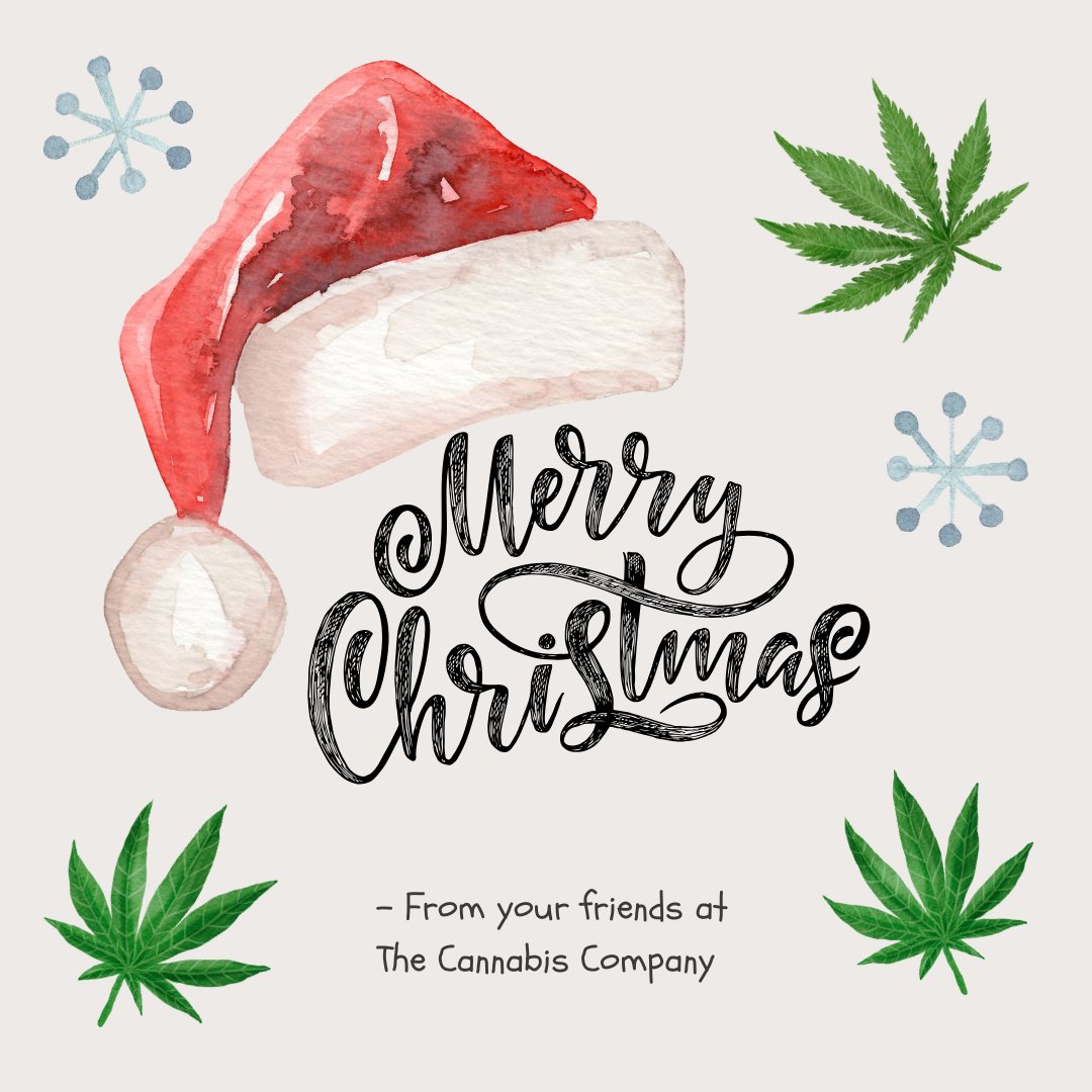 🎅🌟 Wishing you a Christmas that sparkles with joy, twinkles with laughter, and glows with the warmth of love and friendship!

#JoyfulSeason #MerryVibes #MerryChristmas #HappyHolidays #TheCannabisCompany #MerryAndBright #HollyJollyChristmas